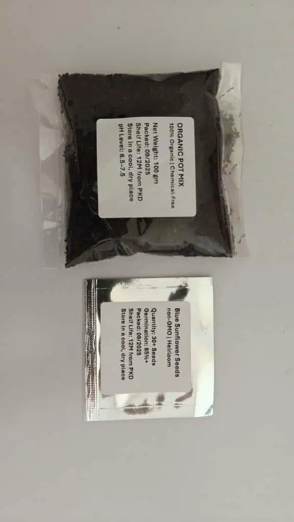 Blue Flame Sunflower Seeds + 100 Grams Organic Pot Mix Free